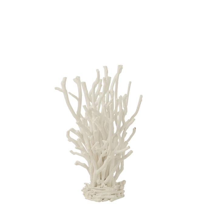 Arbre en bois blanc